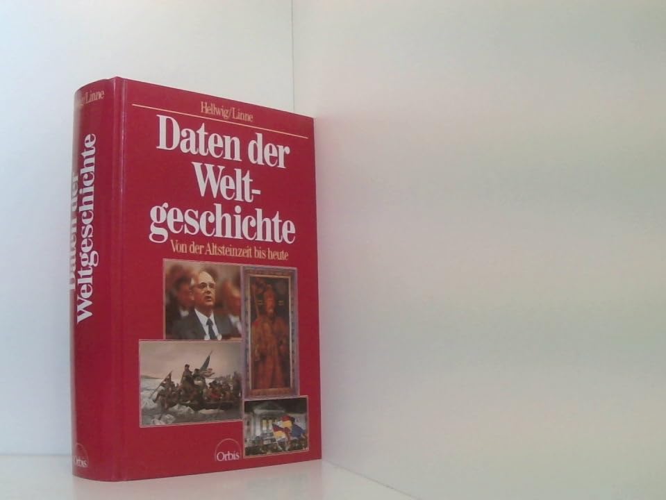 Daten der Weltgeschichte. Von der Altsteinzeit bis heute Politics & History