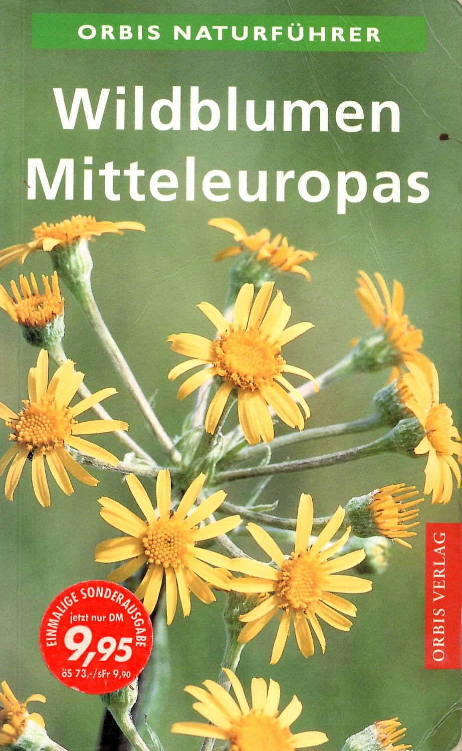 Wildblumen Mitteleuropas Garden & Plants