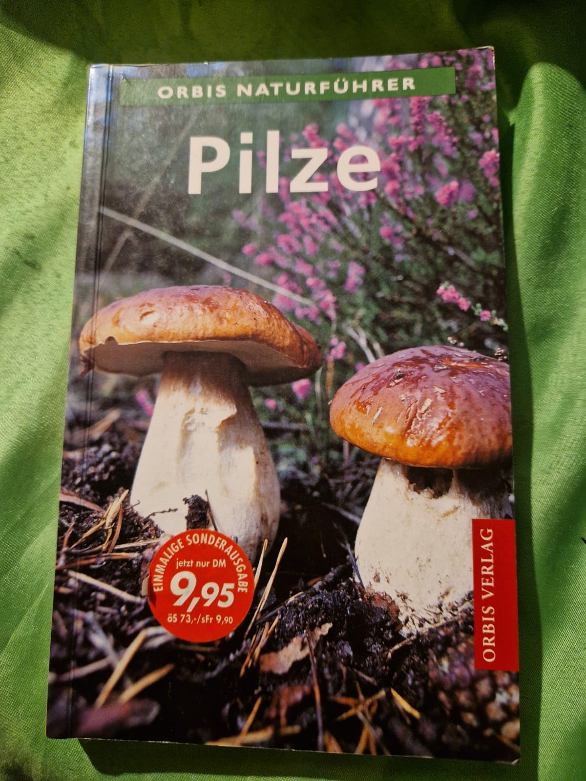 Pilze Garden & Plants
