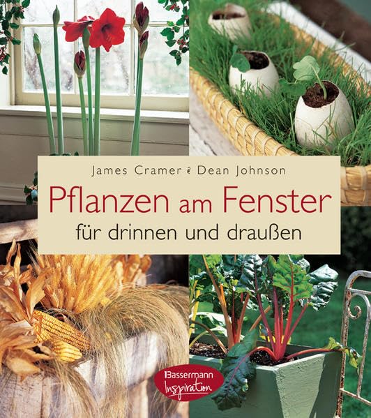 Pflanzen am Fenster: für drinnen und draußen: für drinnen und draußen. 100 Projekte und Pflanzideen für jede Jahreszeit Garden & Plants