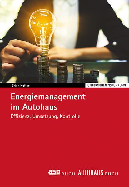 Energiemanagement im Autohaus: (Effizienz, Umsetzung, Kontrolle) Books