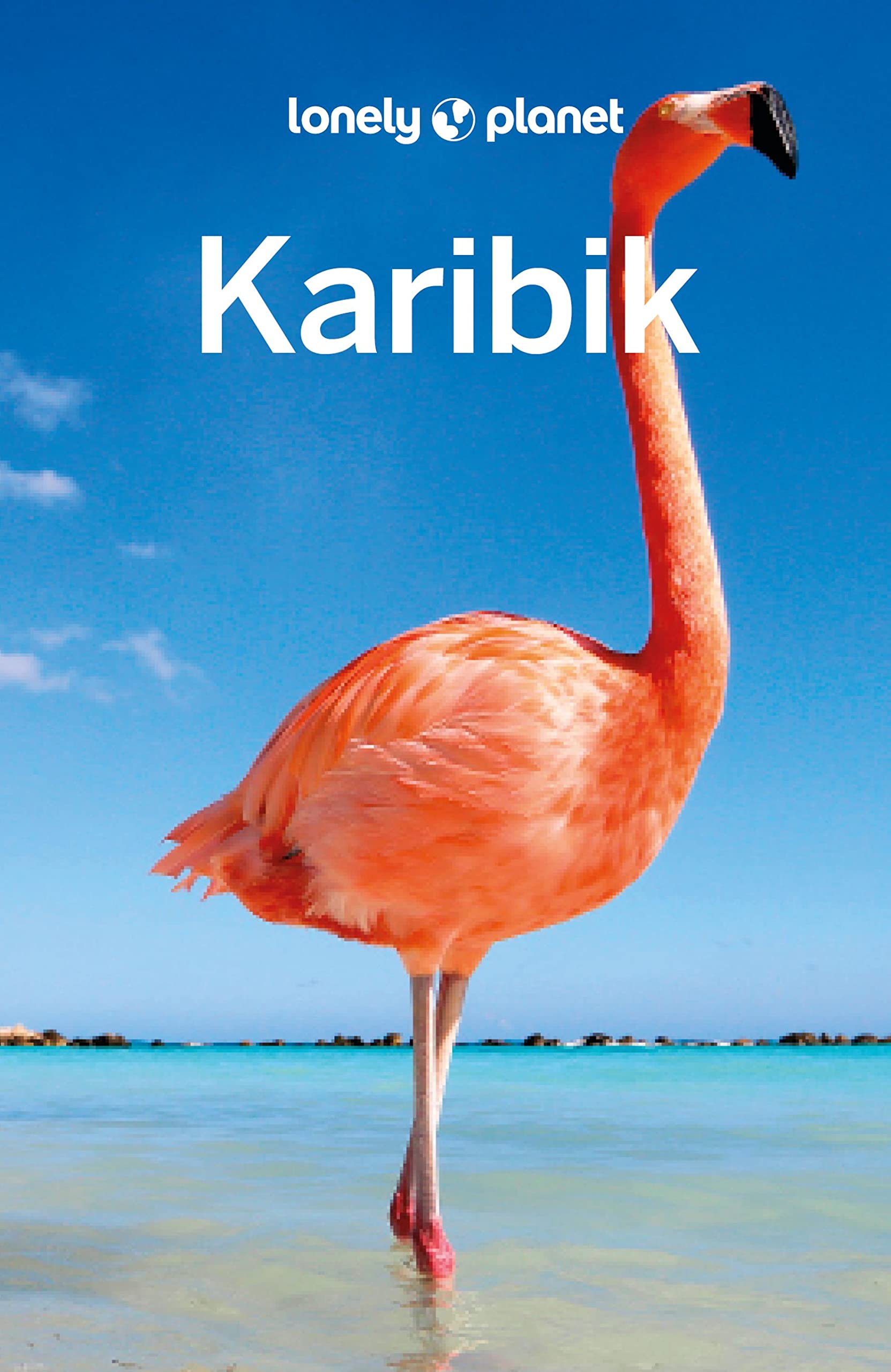 LONELY PLANET Reiseführer Karibik Leisure, Home & Garden