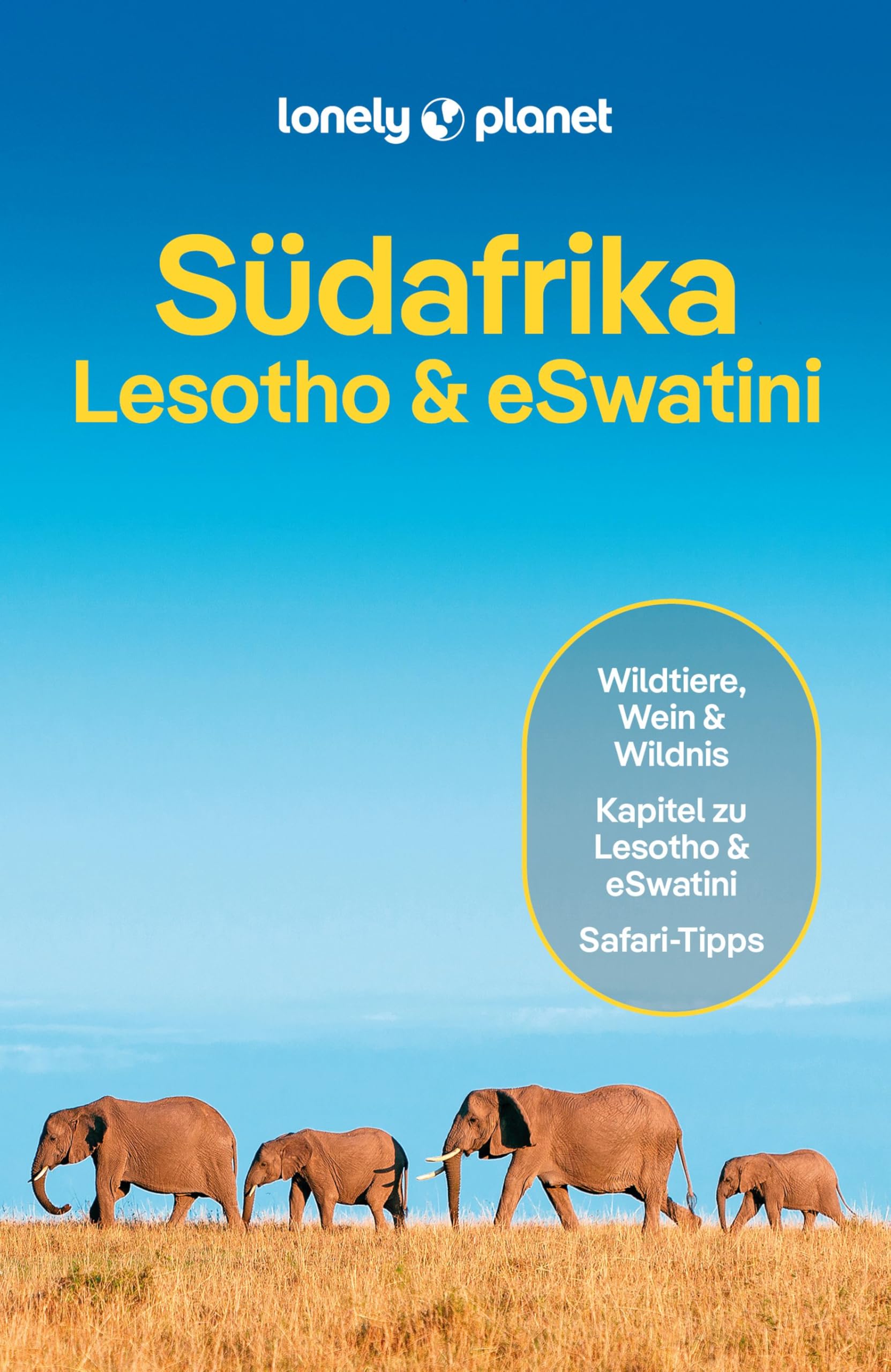 LONELY PLANET Reiseführer Südafrika, Lesotho & eSwatini Leisure, Home & Garden