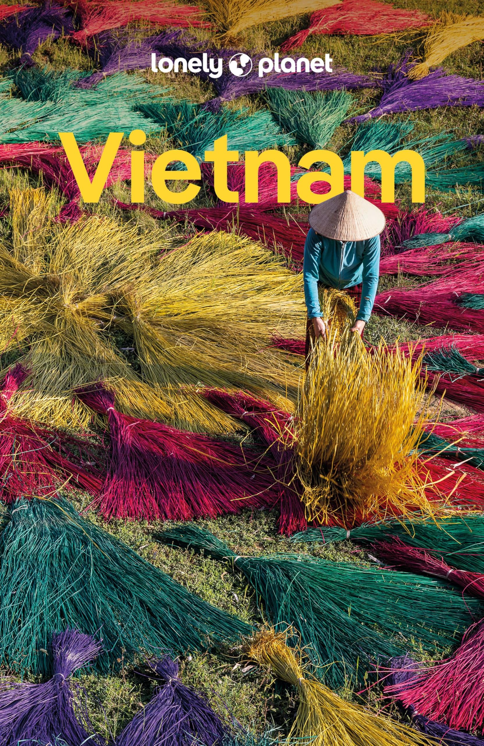 LONELY PLANET Reiseführer Vietnam Leisure, Home & Garden