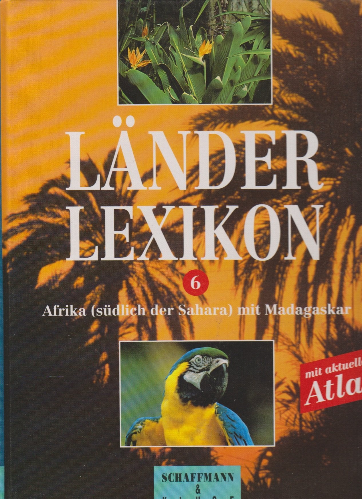 Länderlexikon VI. Afrika (südlich der Sahara) mit Madagaskar Books