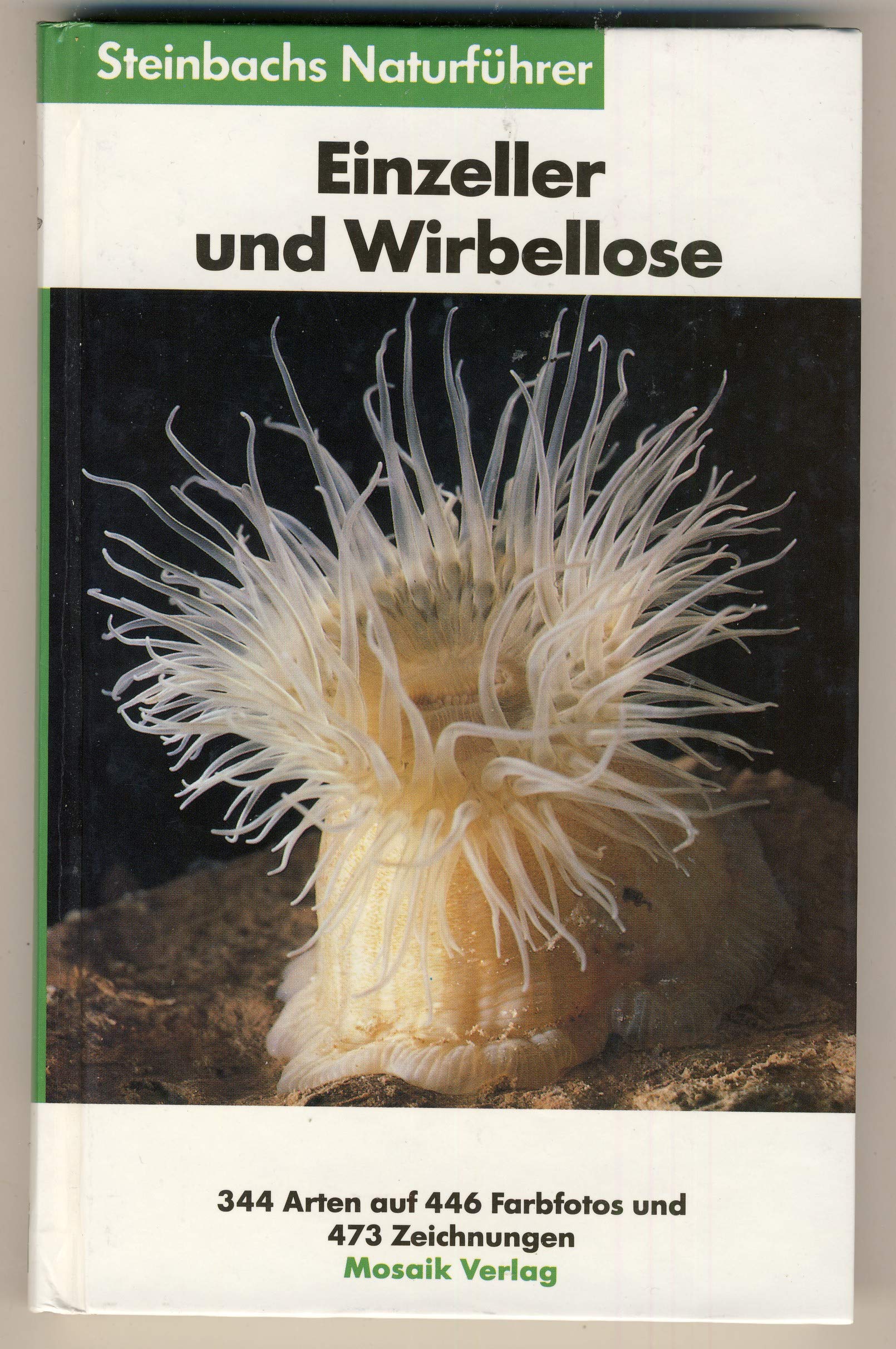 Steinbachs Naturführer: Einzeller und Wirbellose Books