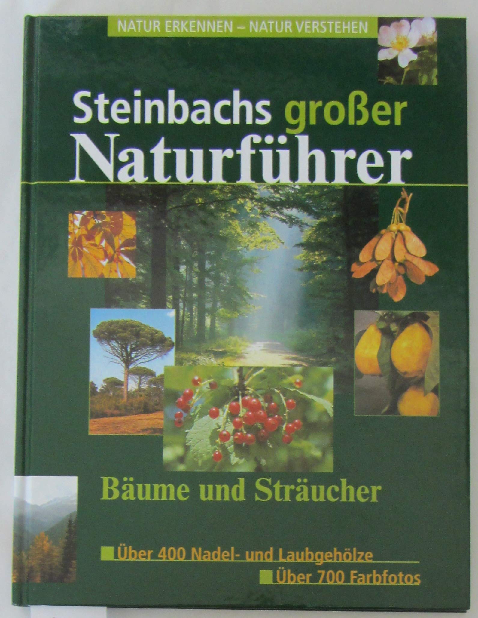Steinbachs grosser Naturführer: Natur erkennen - Natur verstehen (Steinbachs Naturführer) Natural Sciences