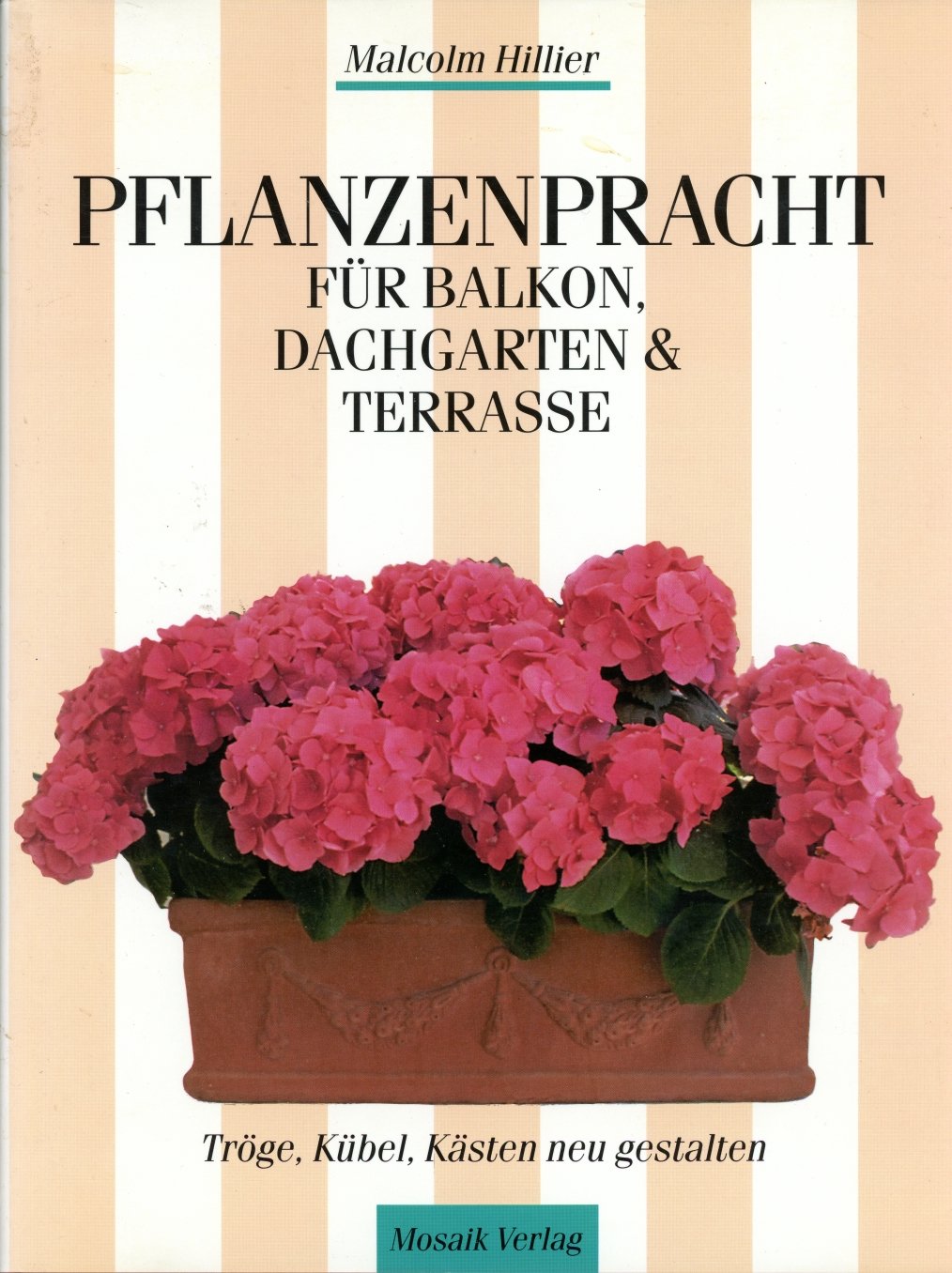 Pflanzenpracht für Balkon, Dachgarten & Terrasse: Kübel, Tröge, Kästen neu gestalten Leisure, Home & Garden