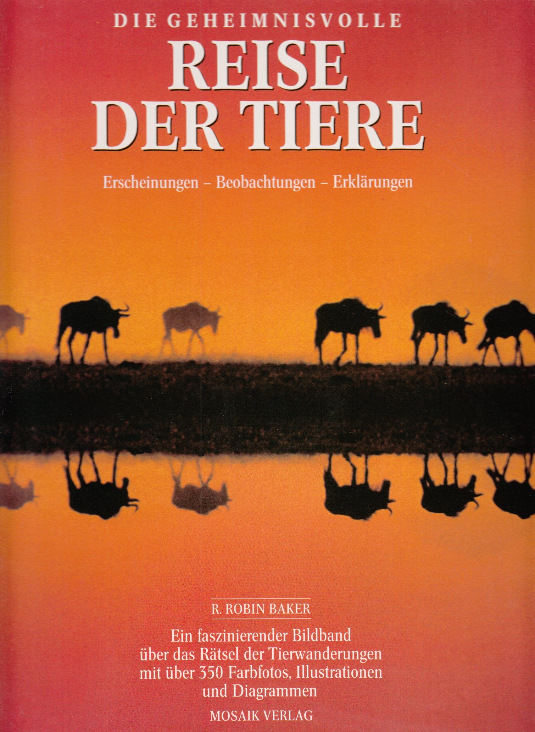 Die geheimnisvolle Reise der Tiere: Erscheinungen - Beobachtungen - Erklärungen. Ein faszinierender Bildband über das Rätsel über Tierwanderungen Photography