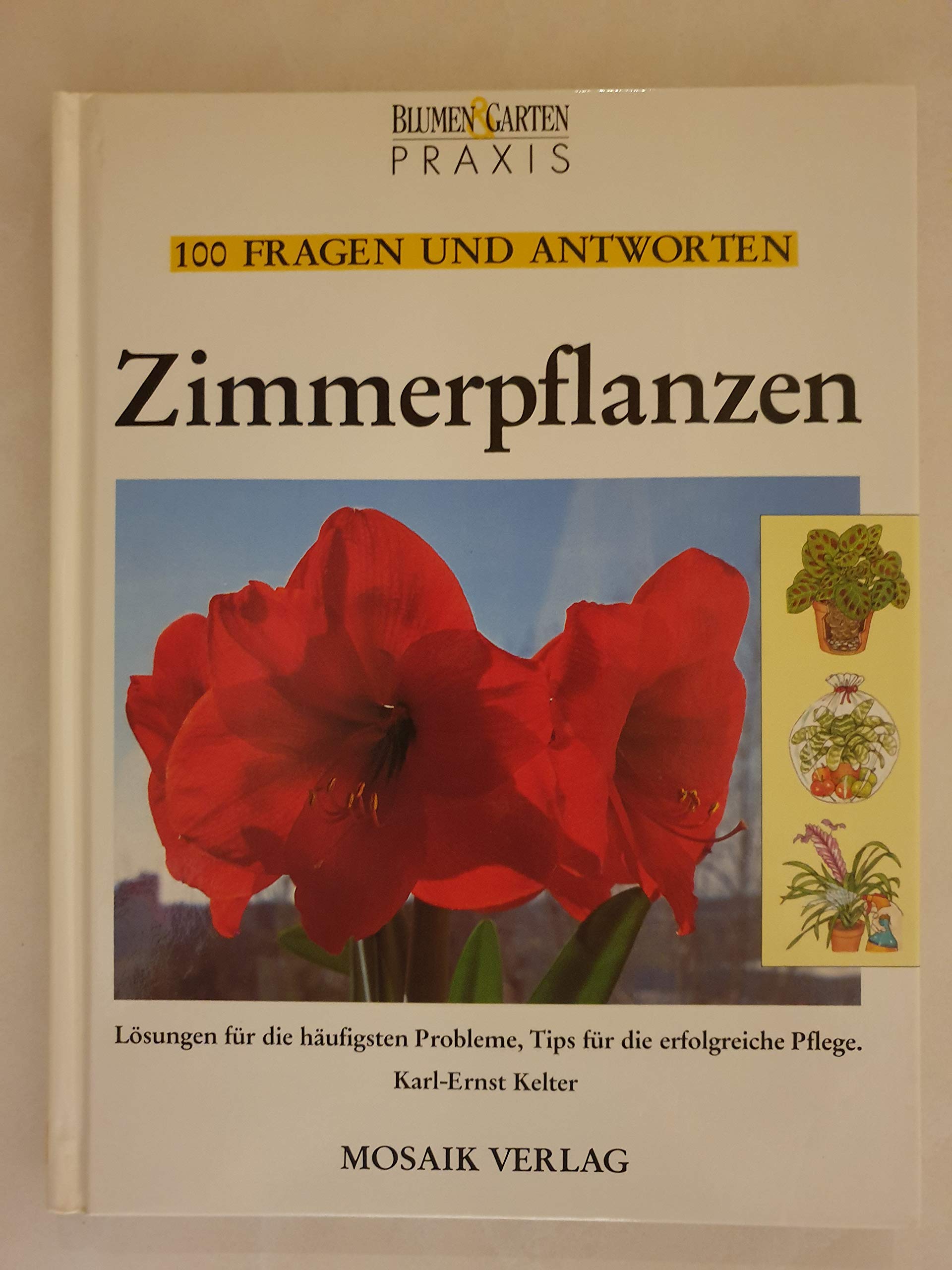 100 Fragen und Antworten - Zimmerpflanzen: Lösungen für die häufigsten Probleme, Tips für die erfolgreiche Pflege Garden & Plants