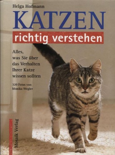 Katzen richtig verstehen: Alles, was Sie über das Verhalten Ihrer Katze wissen sollten Pets