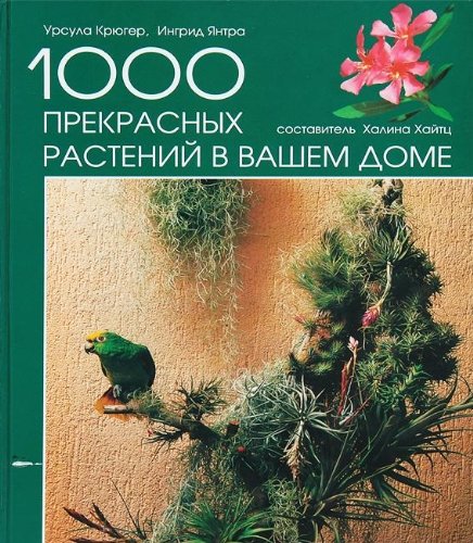 Die schönsten Zimmerpflanzen für ein grünes Zuhause Books