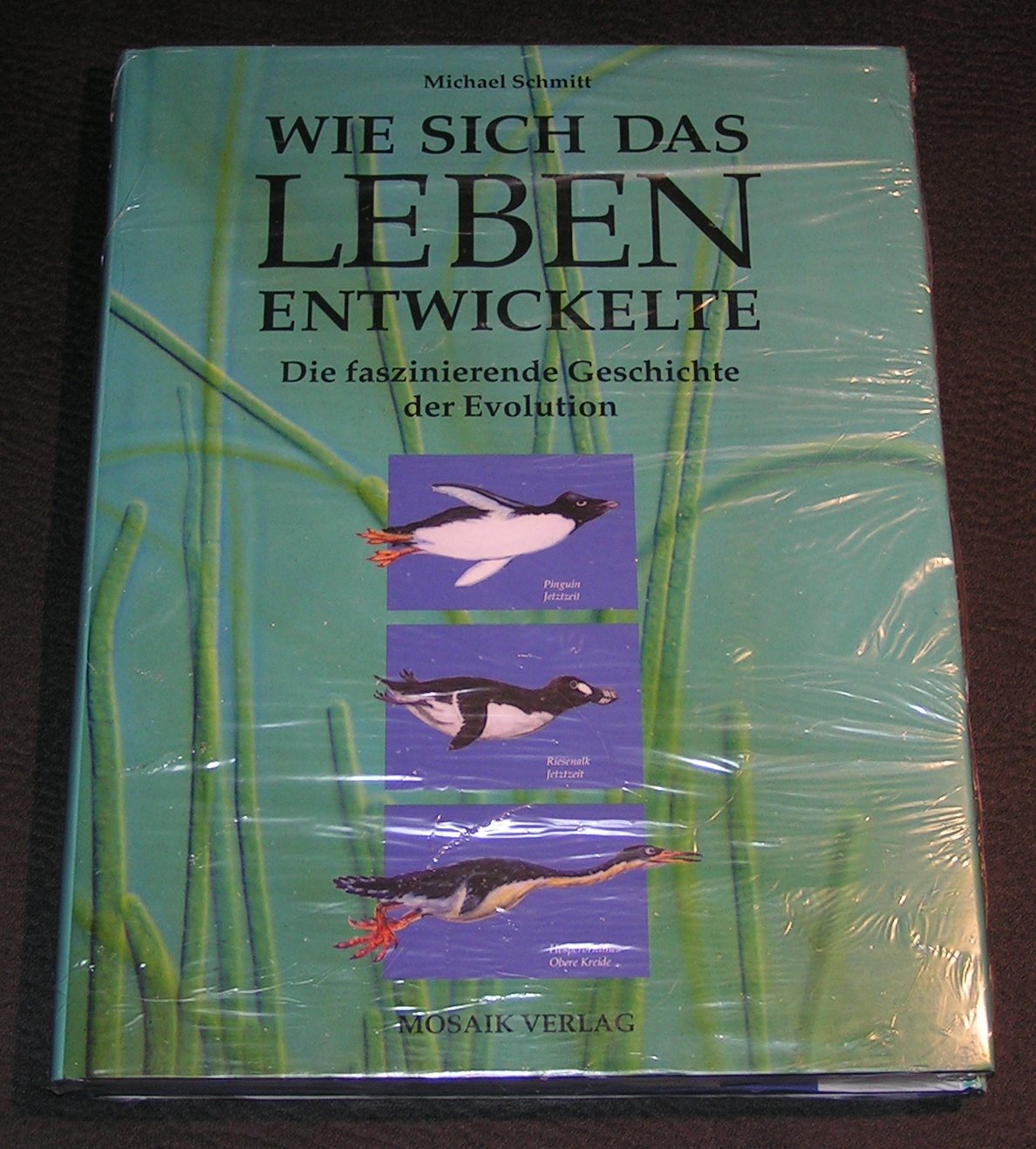 Wie sich das Leben entwickelte: Die faszinierende Geschichte der Evolution Natural Sciences