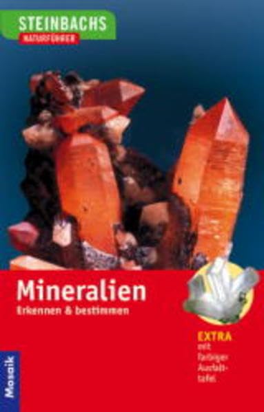 Mineralien: Erleben, Erkennen, Bestimmen Business & Technology Books