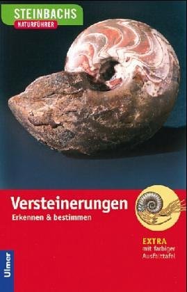Versteinerungen Business & Technology