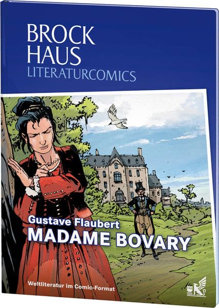 Brockhaus Literaturcomics Madame Bovary: Weltliteratur im Comic-Format Novels & Short Stories
