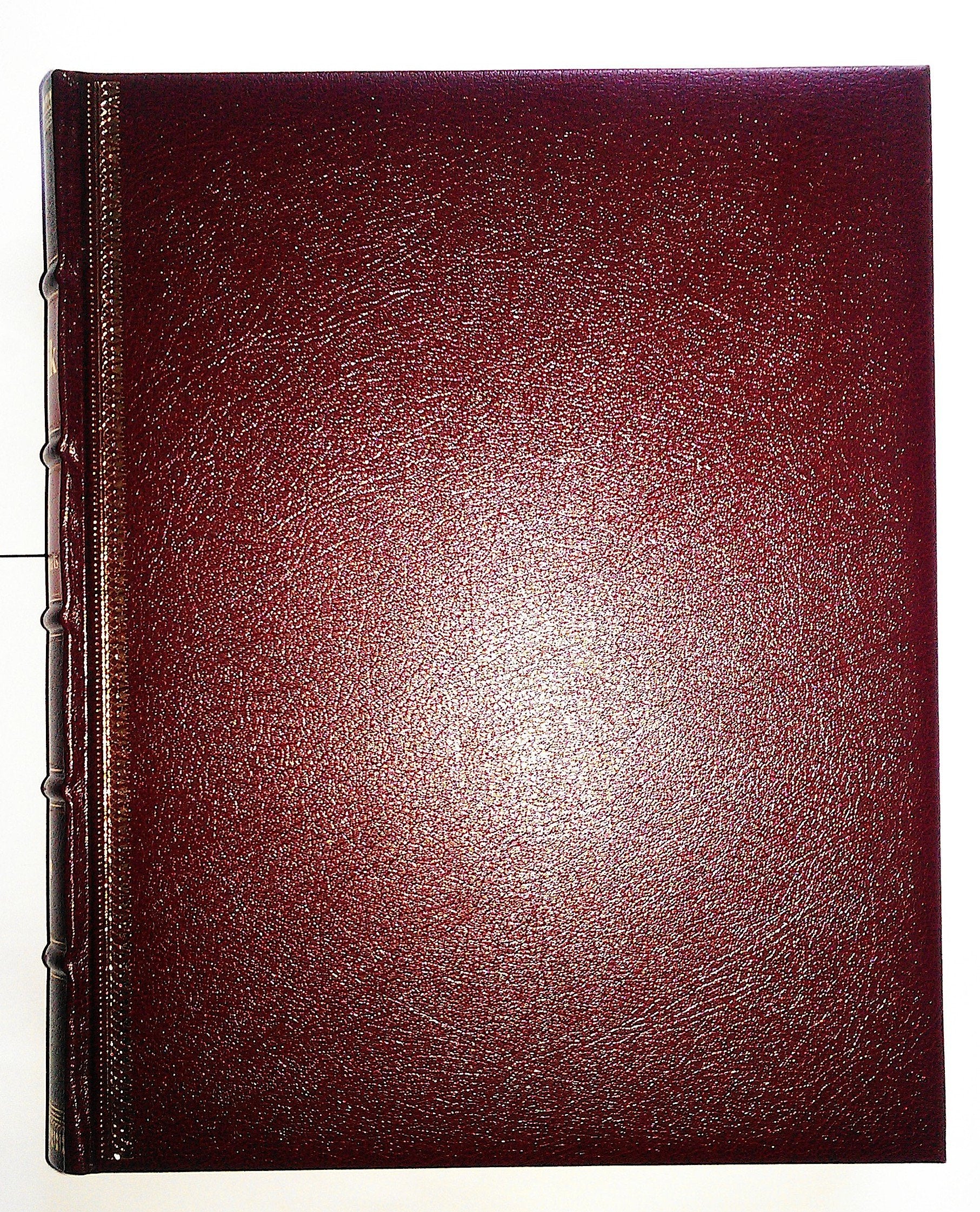 Chronik - Bibliothek des 20. Jahrhunderts 1956-1959 Band 15 Reference Books