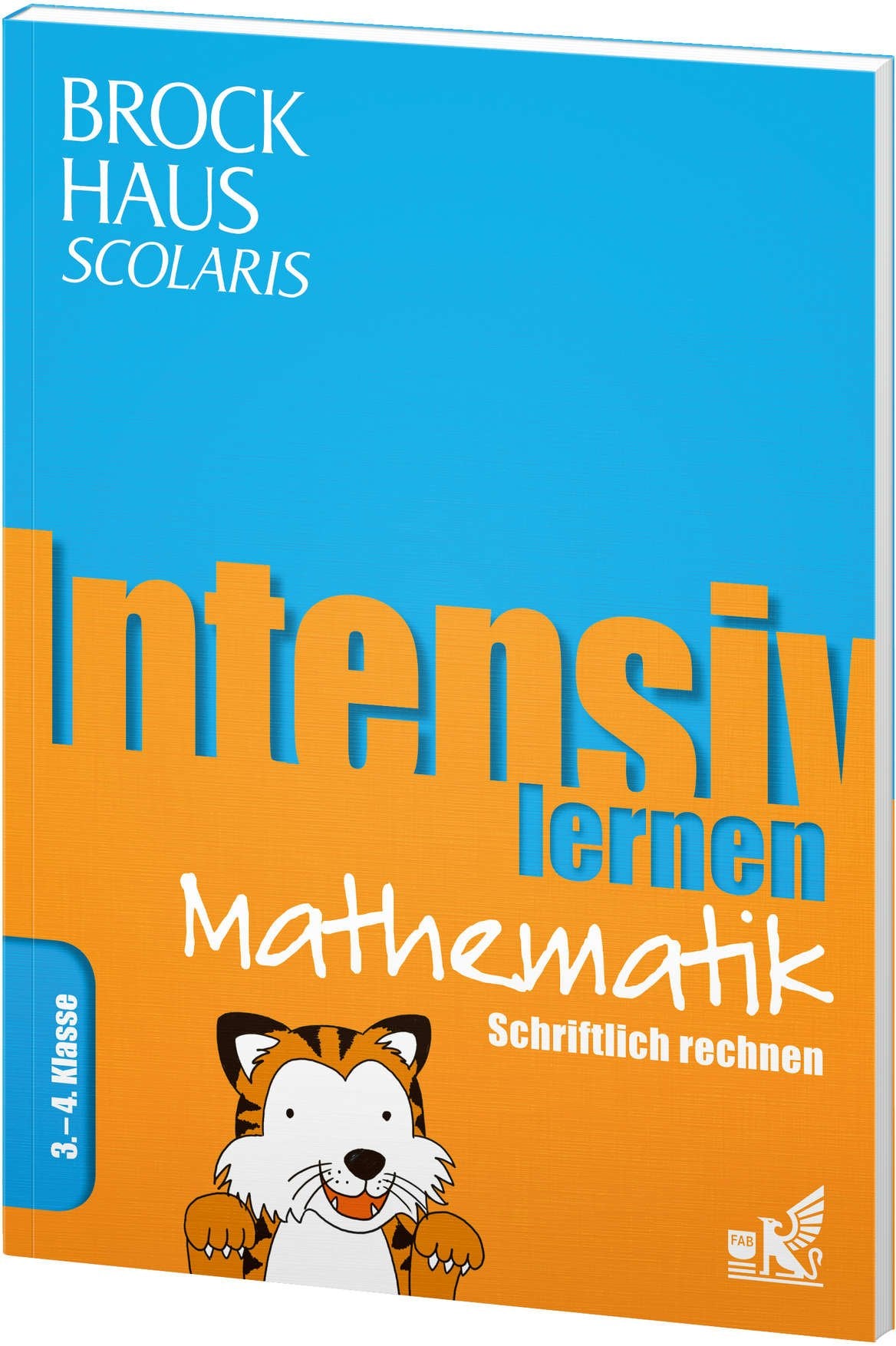 Intensiv lernen: Mathematik - Schriftlich rechnen, 3.-4. Klasse Study Guides