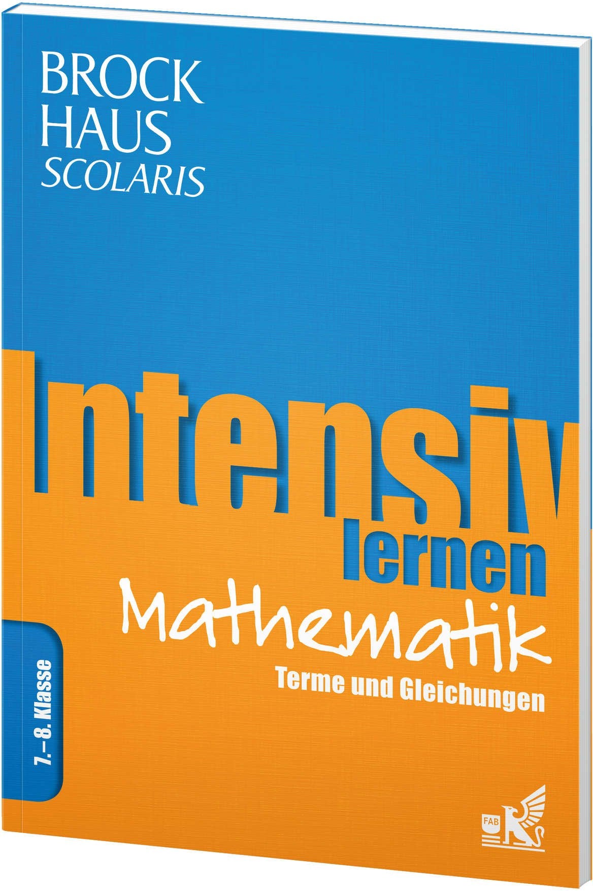 Brockhaus Scolaris Intensiv lernen Mathematik 7.-8. Klasse: Terme und Gleichungen Reference Books