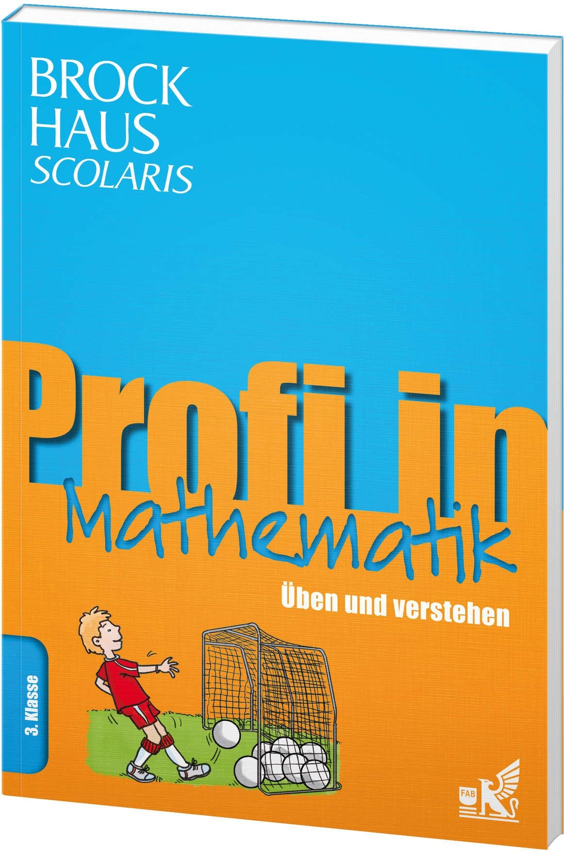 Brockhaus Scolaris Profi in Mathematik 3. Klasse: Üben und verstehen Reference Books