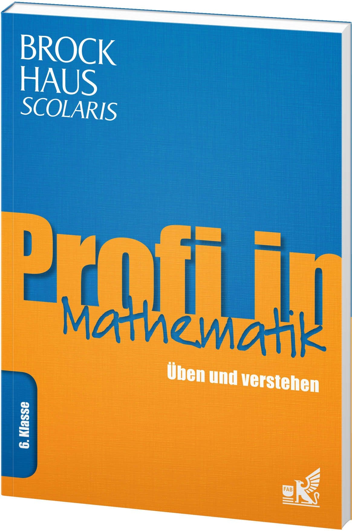 Brockhaus Scolaris Profi in Mathematik 6. Klasse: Üben und verstehen Reference Books