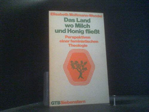 Das Land, wo Milch und Honig fließt. Perspektiven einer feministischen Theologie. Social Sciences