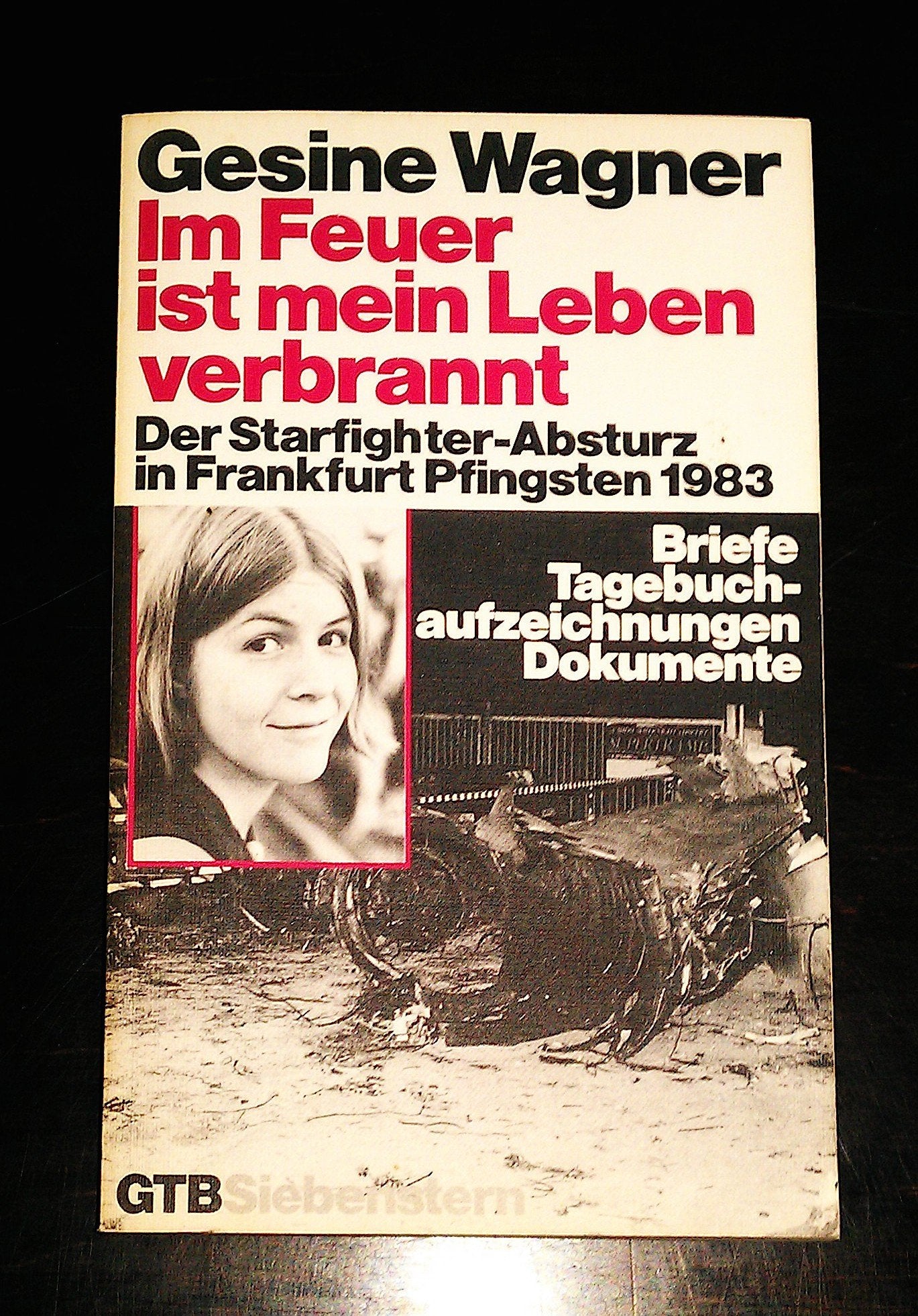 Im Feuer ist mein Leben verbrannt. Der Starfighter-Absturz in Frankfurt 1983. Briefe, Tagebuchaufzeichnungen, Dokumente. Essays & Short Stories