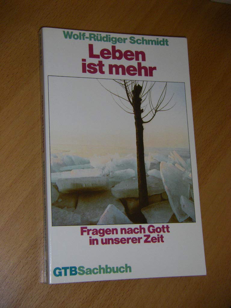 Leben ist mehr. Fragen nach Gott in unserer Zeit. Religion & Esotericism