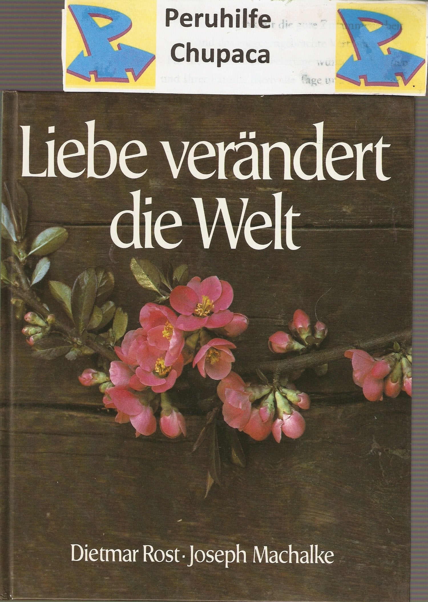 Liebe verändert die Welt. Seligpreisungen heute Books