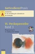 Gottesdienstpraxis. Serie A: Arbeitshilfen für die Gestaltung der Gottesdienste im Kirchenjahr / Perikopenreihe VI: Pfingstsonntag bis 15. Sonntag nach Trinitatis Religion & Esotericism