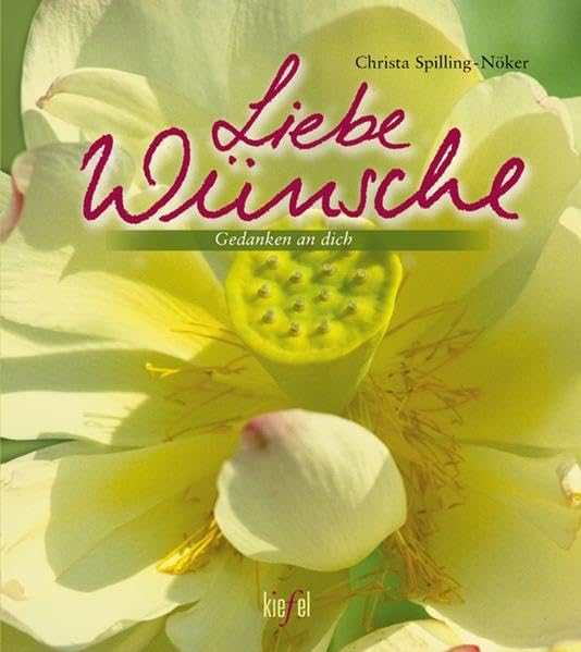 Liebe Wünsche: (Ed. Kiefel) (Gedanken an dich) Lifestyle