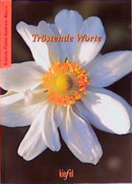 Kiefel-Foto-Karten-Bücher, Nr.66, Tröstende Worte (Kiefel-Foto-Kartenbücher / Kostbare Kleinigkeiten) Lifestyle