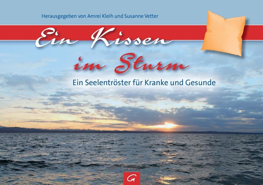 Ein Kissen im Sturm: Ein Seelentröster für Kranke und Gesunde Health, Nutrition & Fitness