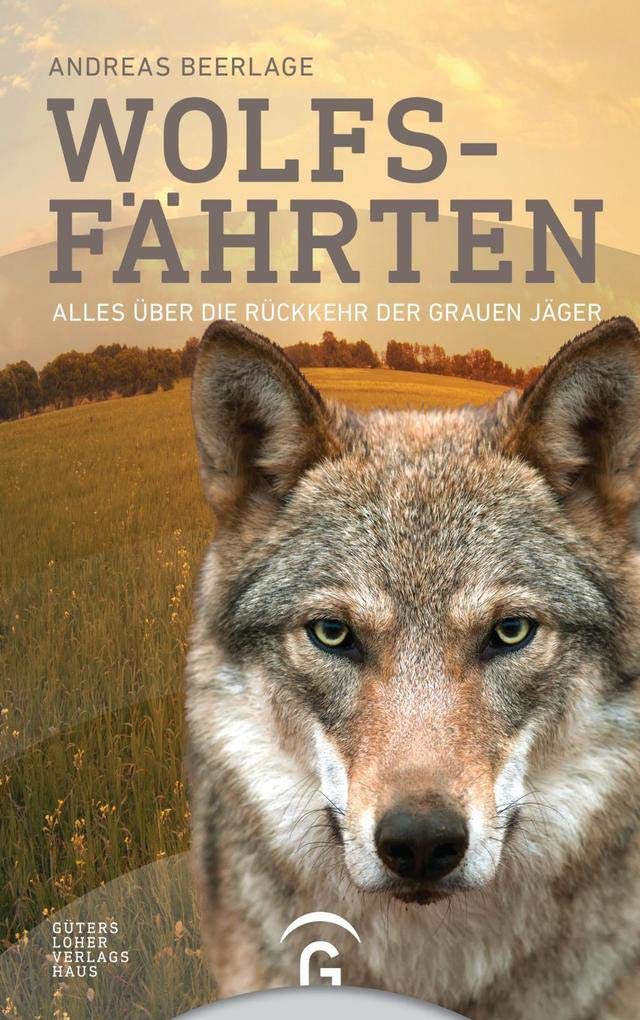 Wolfsfährten Architecture