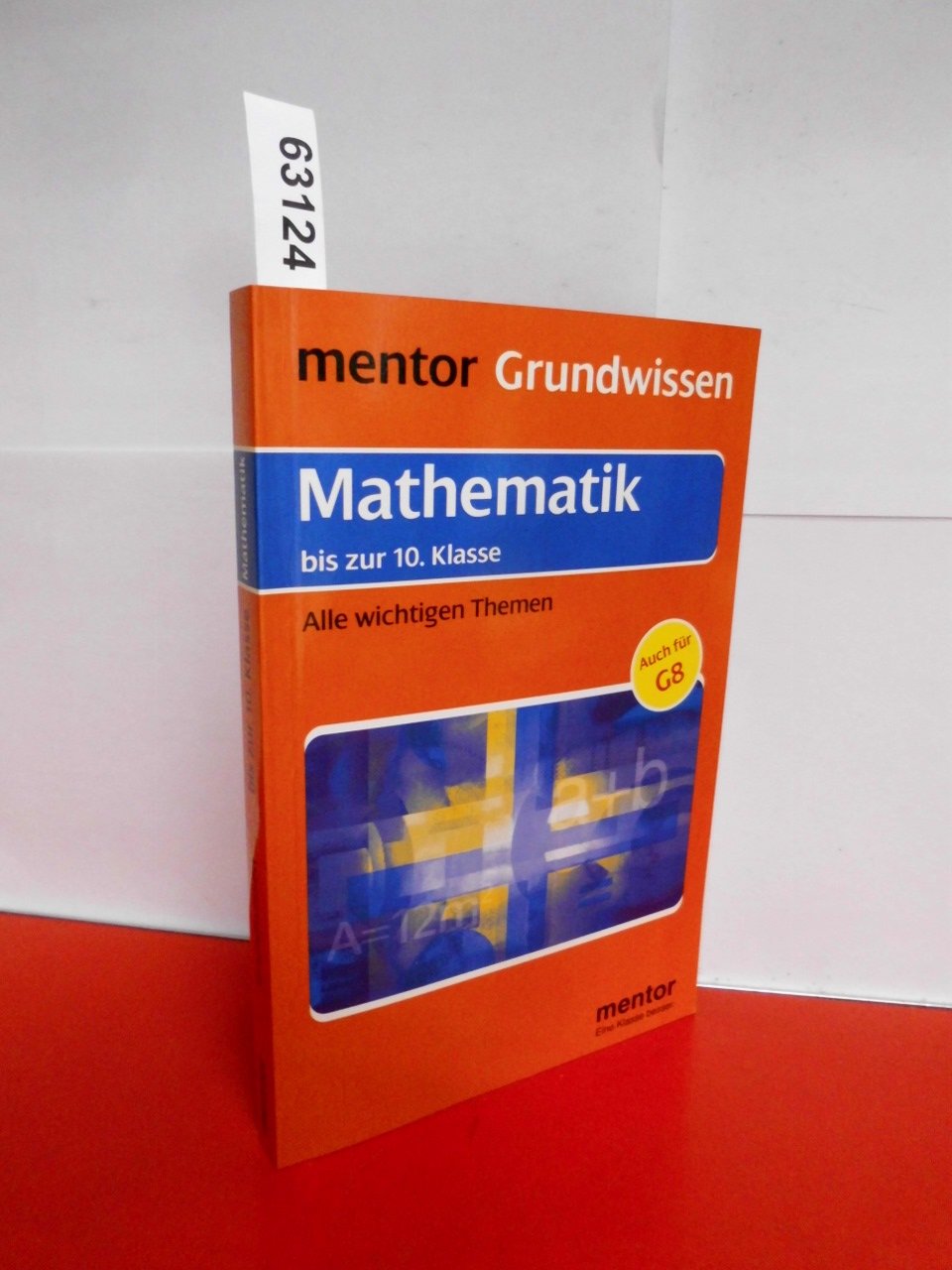 Mentor Lernhilfe Mathematik. Grund- und Aufbauwissen 1. Study Guides
