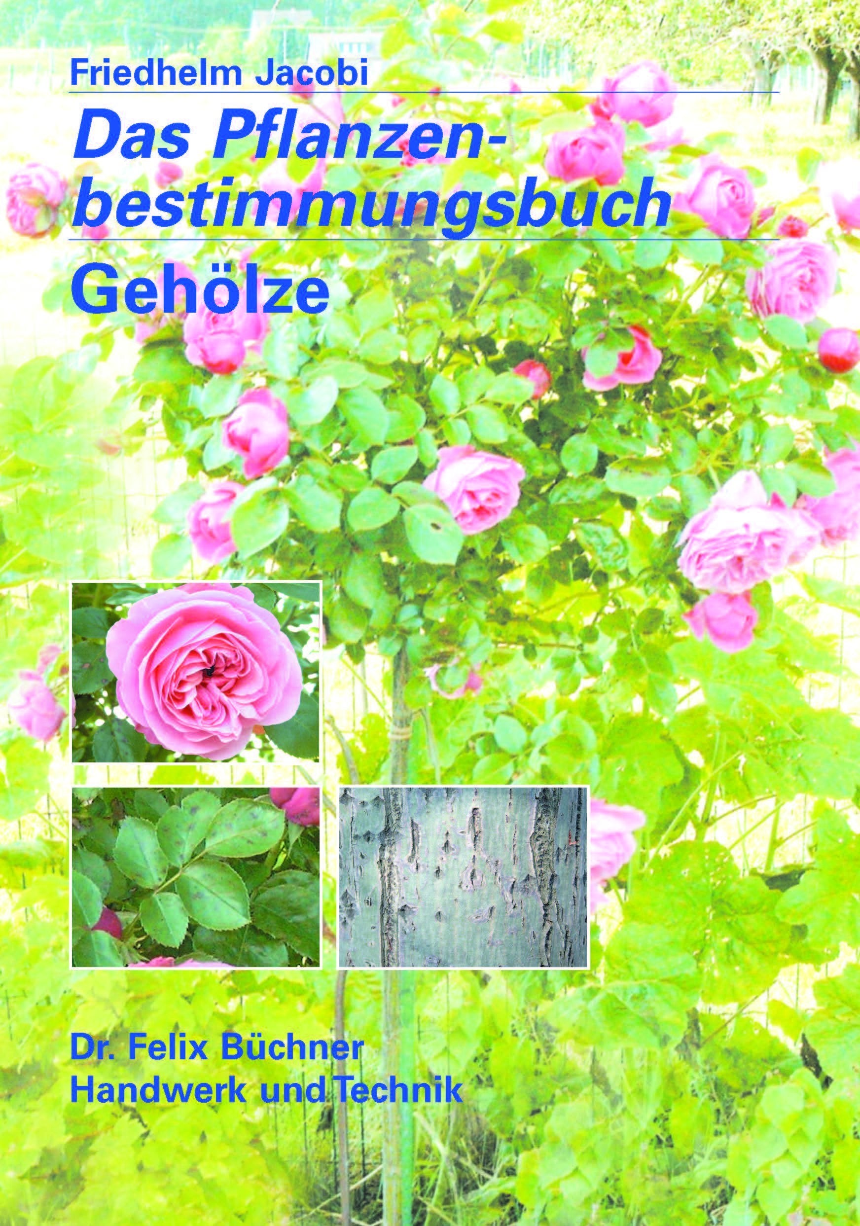 Das Pflanzenbestimmungsbuch -- Gehölze Study Guides