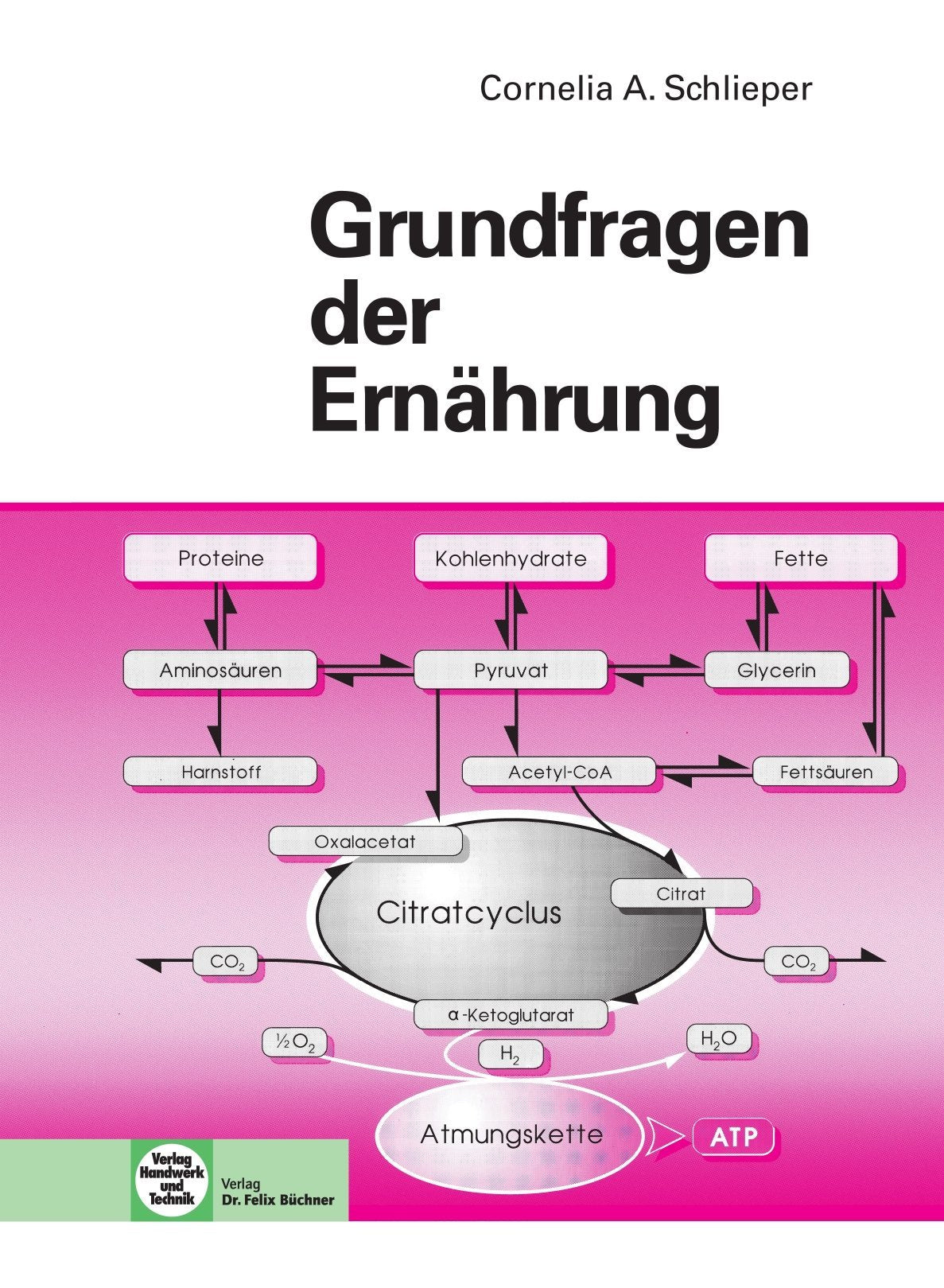 Product Image: Grundfragen der Ernährung
