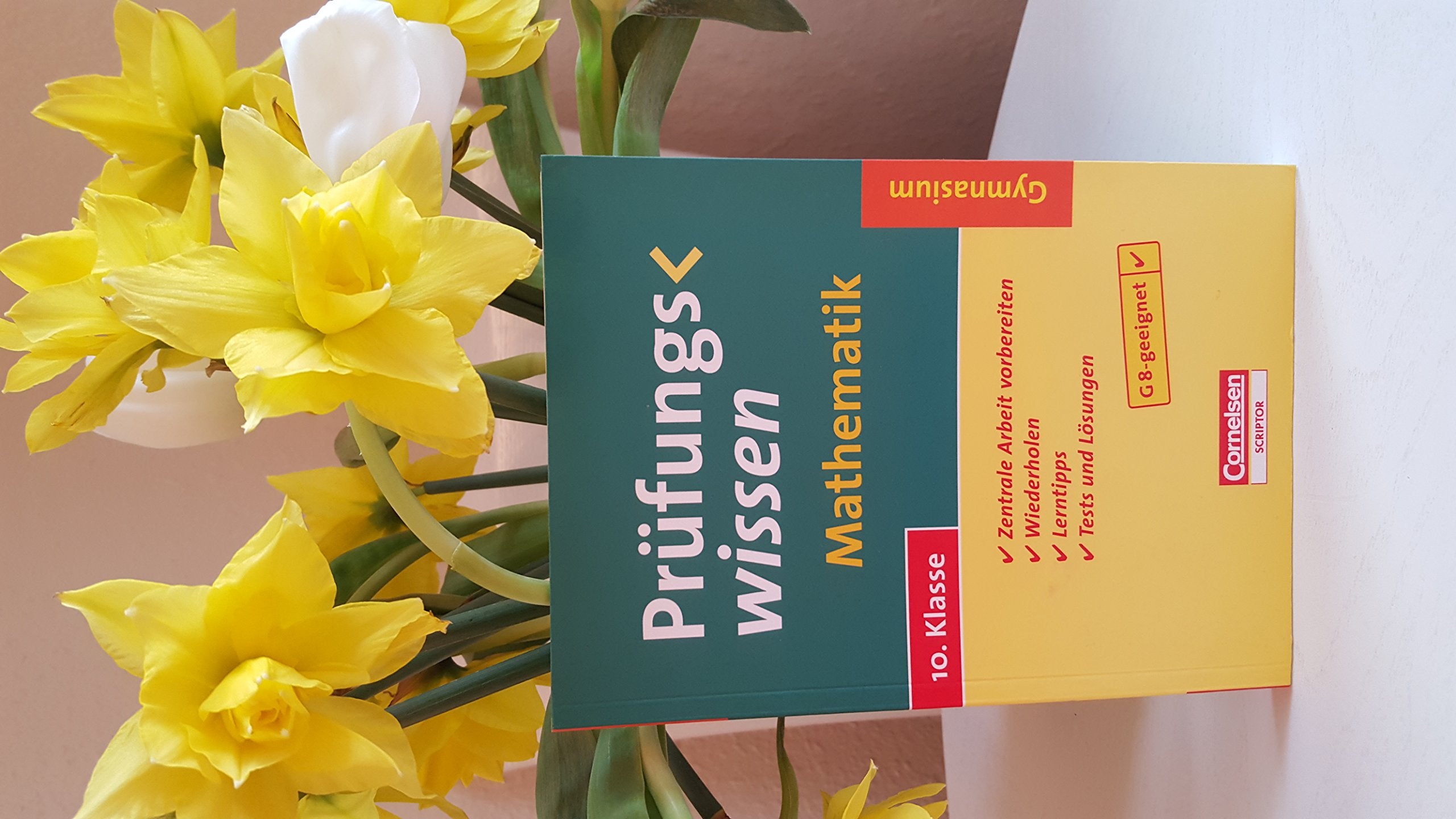 Prüfungswissen - Gymnasium: 10. Schuljahr - Mathematik: Schülerbuch mit Lerntipps, Tests und Lösungen Study Guides