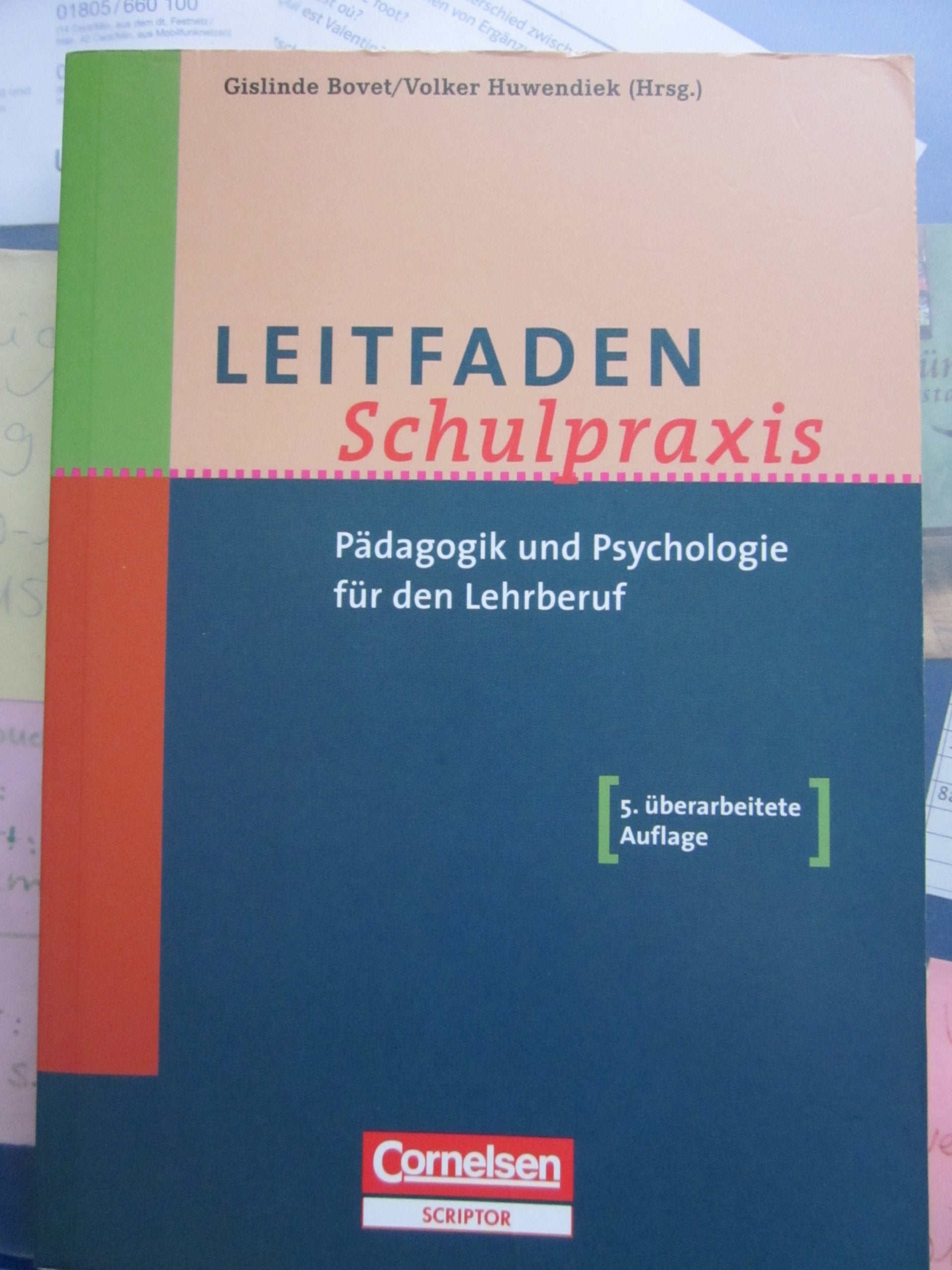 Leitfaden Schulpraxis: Pädagogik und Psychologie für den Lehrberuf Politics & History