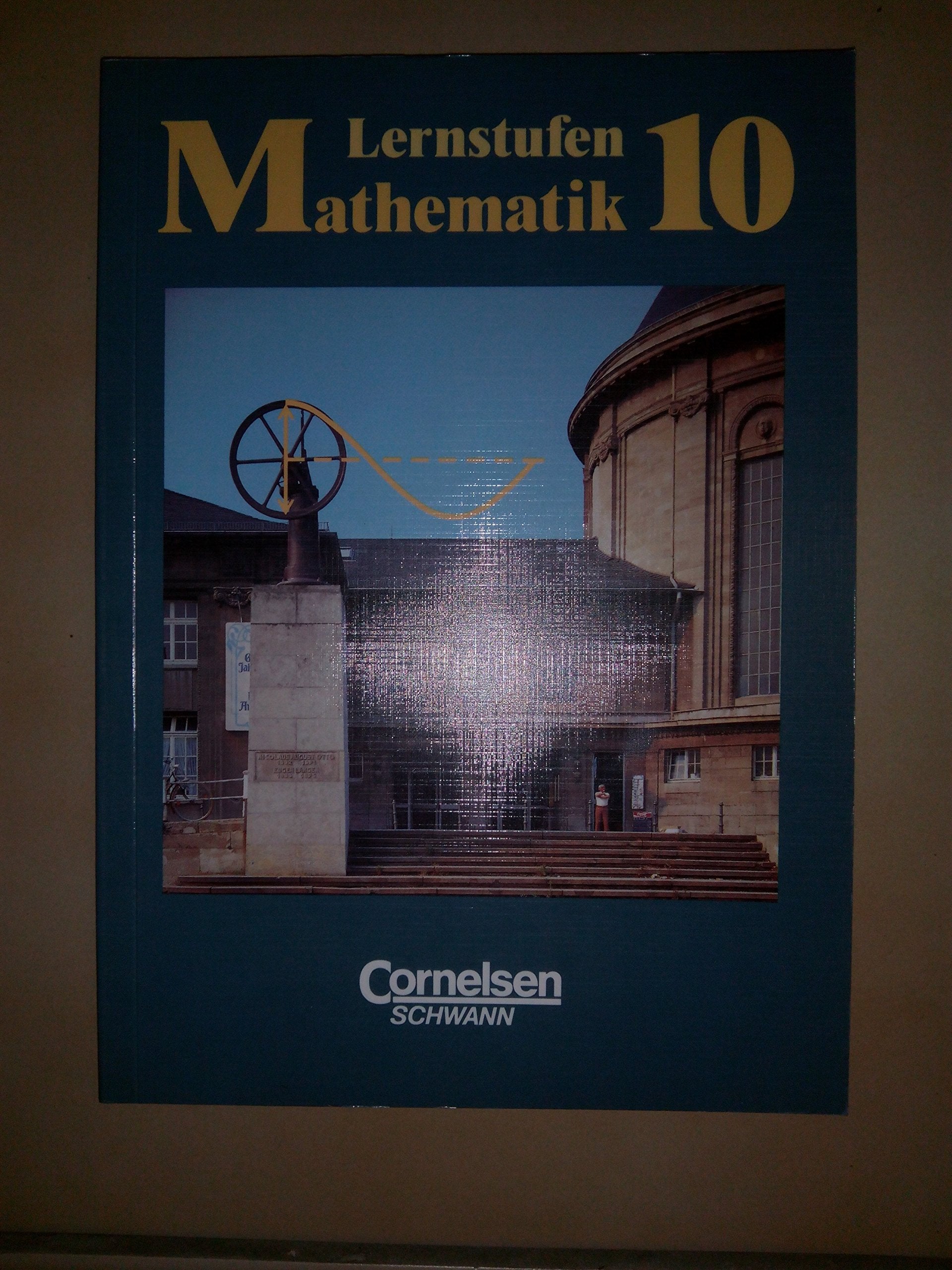 Lernstufen Mathematik - Hauptschule Rheinland-Pfalz und Saarland: Lernstufen Mathematik, Allgemeine Ausgabe, Klasse 10, Erweiterungskurs Books