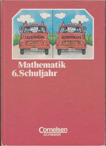 Mathematik Sekundarstufe I: 6. Schuljahr Books