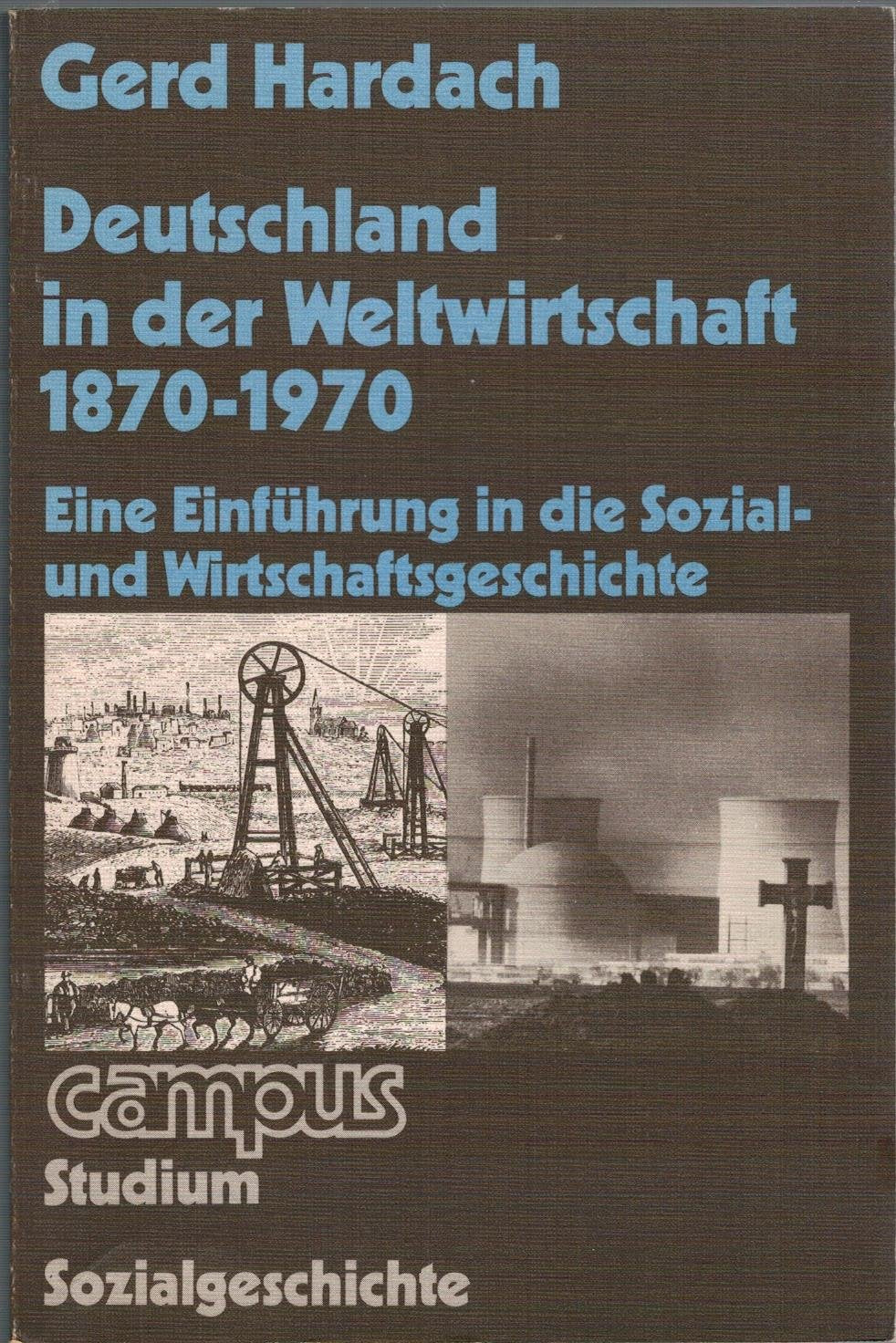 Deutschland in der Weltwirtschaft 1870 - 1970: Eine Einführung in die Sozial- und Wirtschaftsgeschichte (Campus Studium) Business, Finance & Career