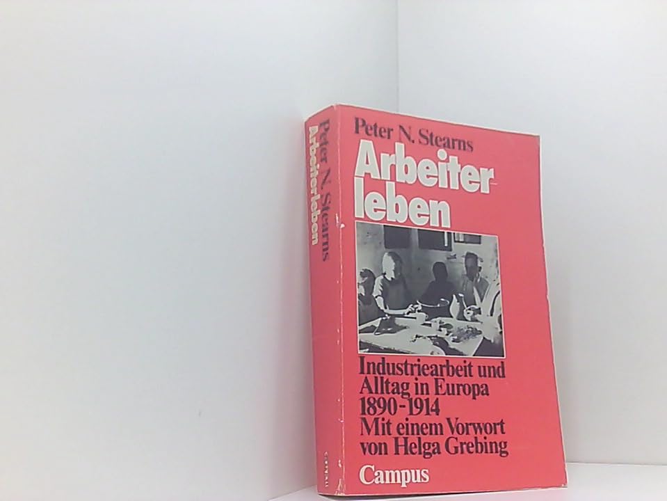 Arbeiterleben: Industriearbeit und Alltag in Europa 1890-1914 Politics & History