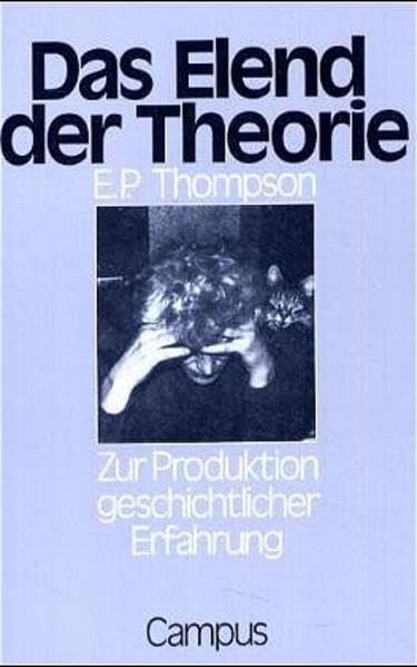 Das Elend der Theorie: Zur Produktion geschichtlicher Erfahrung Politics & History