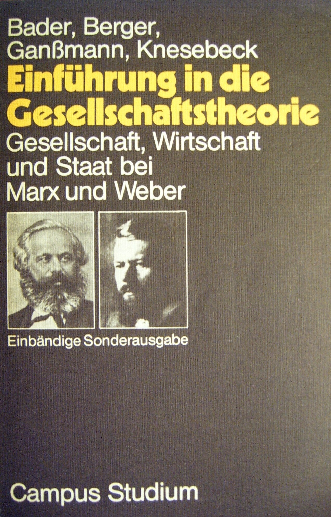 Einführung in die Gesellschaftstheorie: Gesellschaft, Wirtschaft und Staat bei Marx und Weber (Campus Studium) Social Sciences