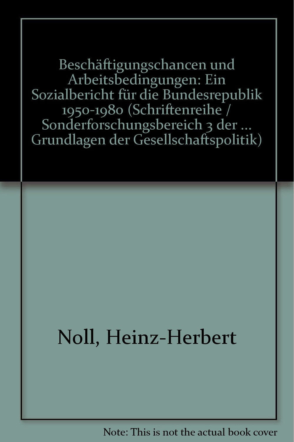 Beschäftigungschancen und Arbeitsbedingungen in der Bundesrepublik: Ziele und Indikatoren der Wohlfahrtsentwicklung (Schriftenreihe des SFB 3) Business, Finance & Career