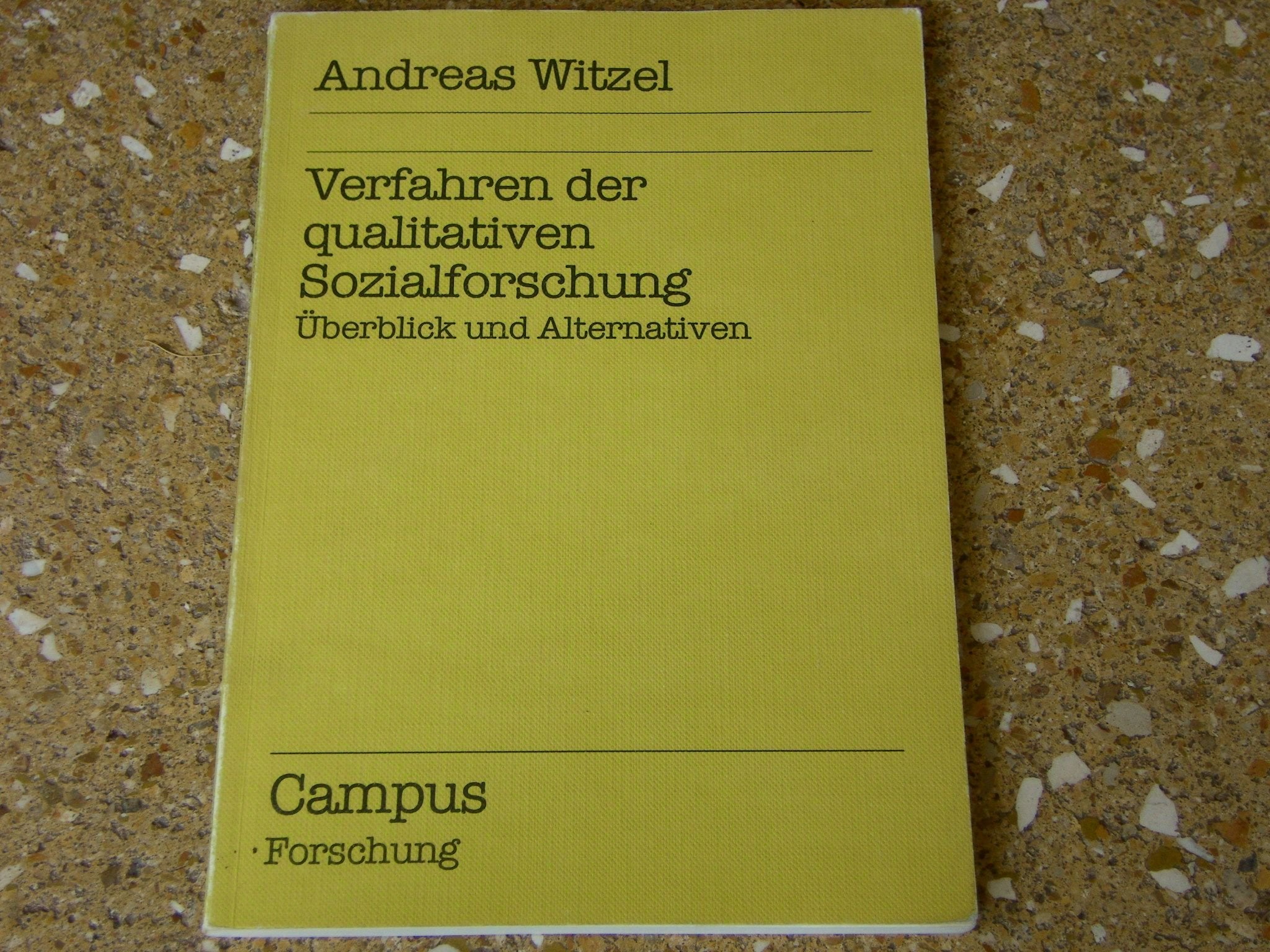 Verfahren der qualitativen Sozialforschung: Überblick und Alternativen (Campus Forschung) Social Sciences