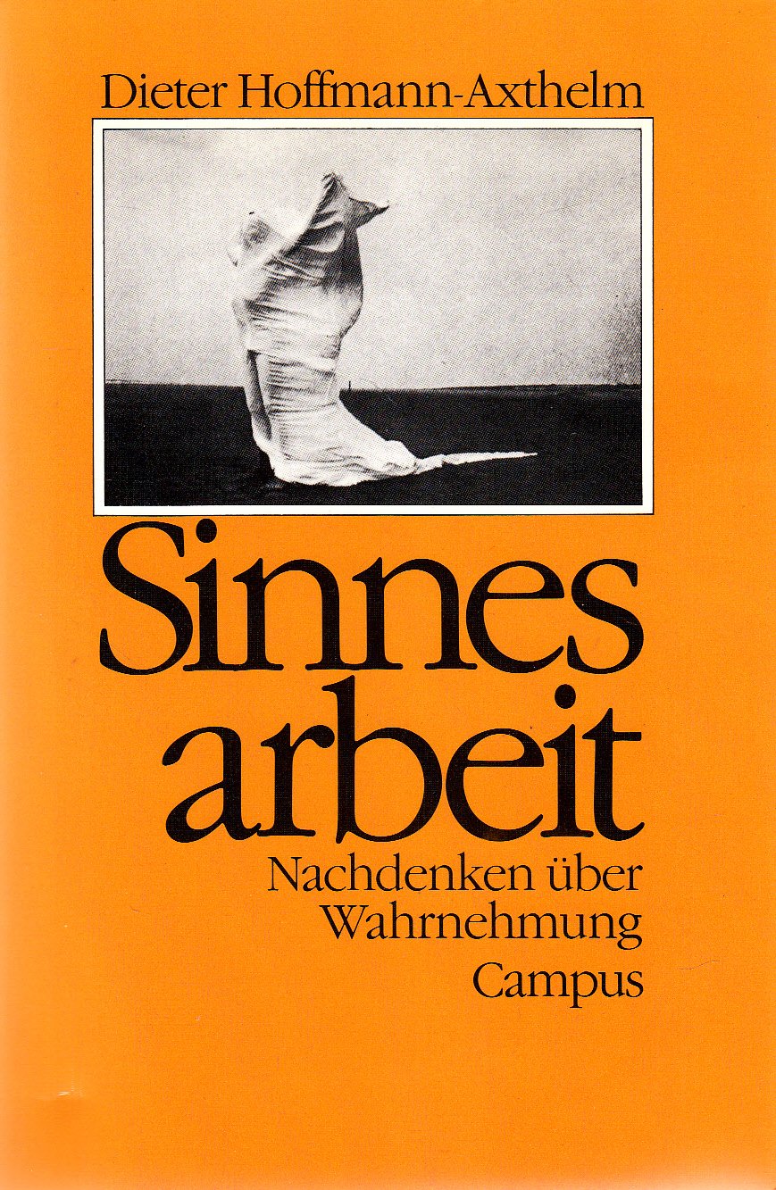 Sinnesarbeit: Nachdenken über Wahrnehmung Philosophy