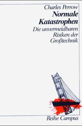 Normale Katastrophen: Die unvermeidbaren Risiken der Grosstechnik Business & Technology