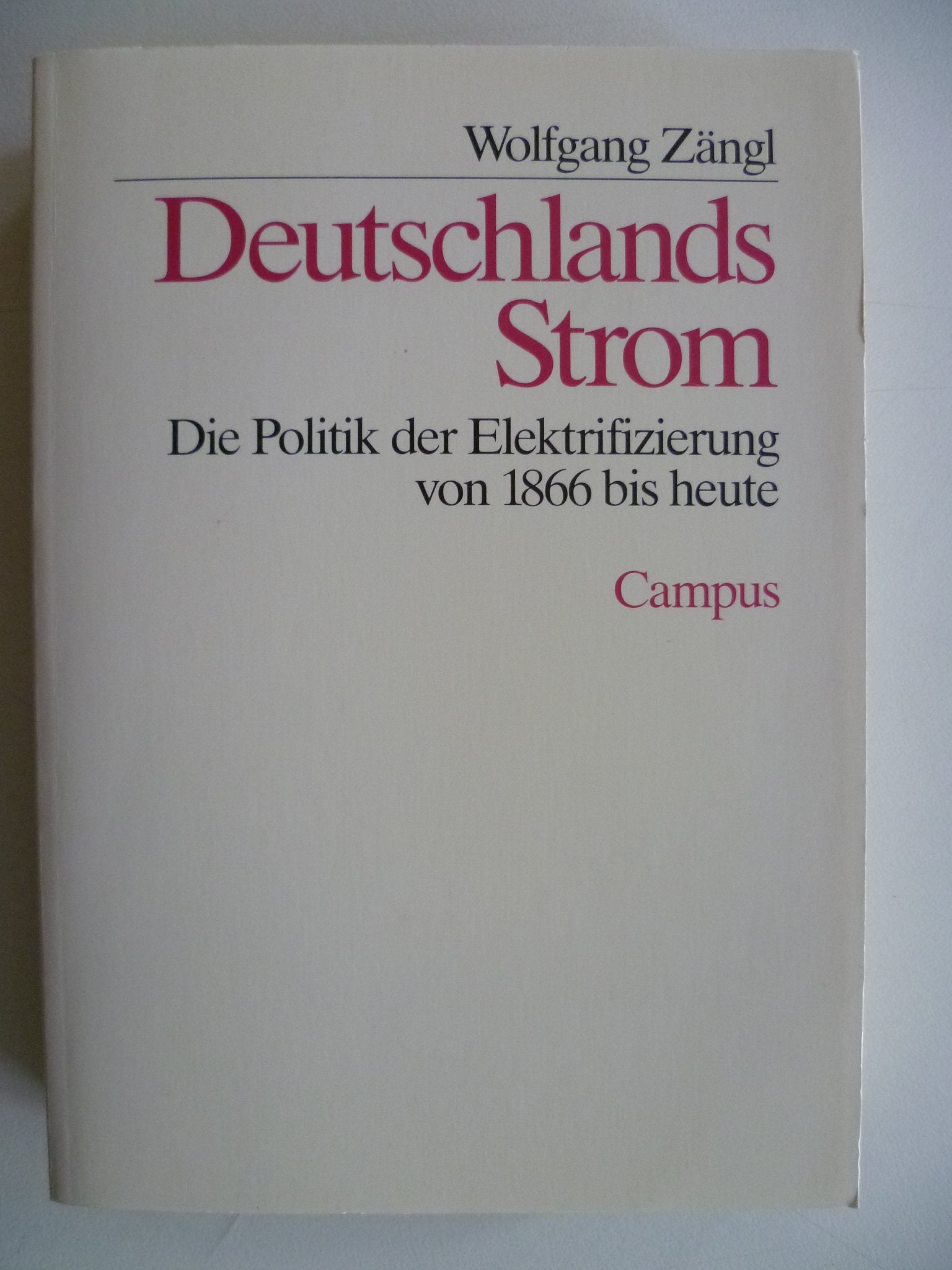 Deutschlands Strom: Die Politik der Elektrifizierung von 1866 bis heute Politics & History